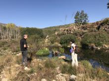 Restauración ribera en Gredos